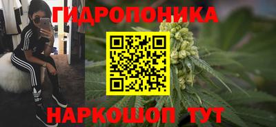 шишки Комсомольск-на-Амуре